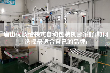 唐山优质给袋式自动包装机哪家好(如何选择更适合自己的品牌)