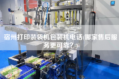宿州打印装袋机包装机电话(哪家售后服务更可靠)