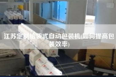 江苏定制给袋式自动包装机(如何提高包装效率)