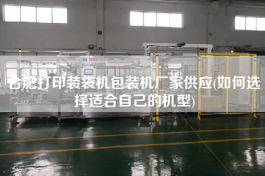 合肥打印装袋机包装机厂家供应(如何选择适合自己的机型)