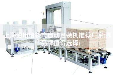 上海通用给袋式自动包装机推荐厂家(哪些品牌值得选择)